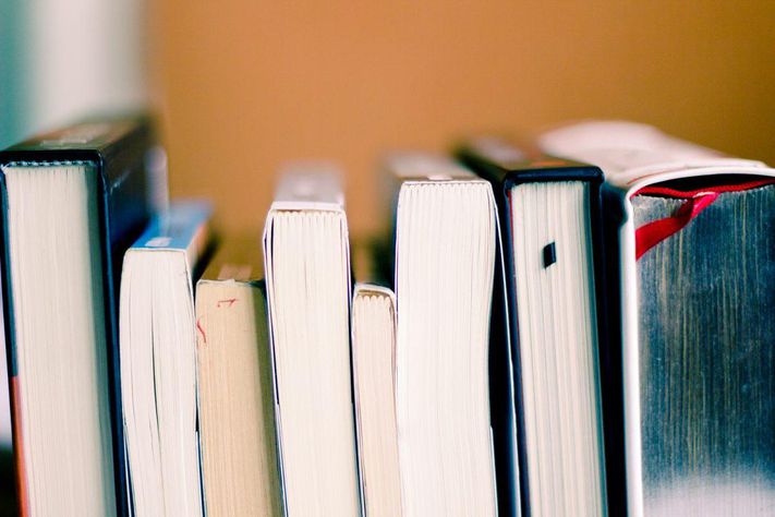 Five Books To Read For Beginners Bombay Reads